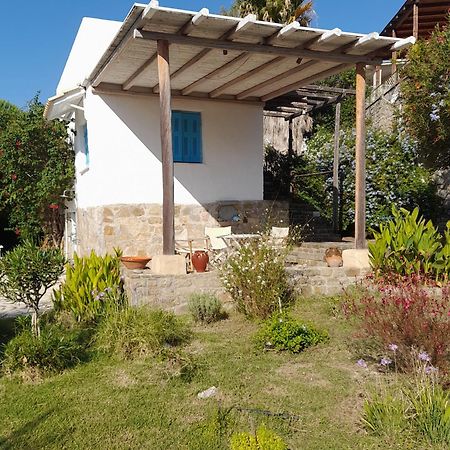 פיניקונטה Lemon Tree Cottage מראה חיצוני תמונה