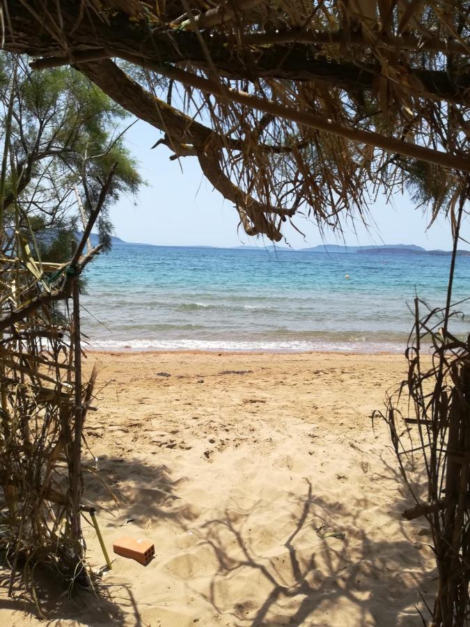 פיניקונטה Lemon Tree Cottage מראה חיצוני תמונה