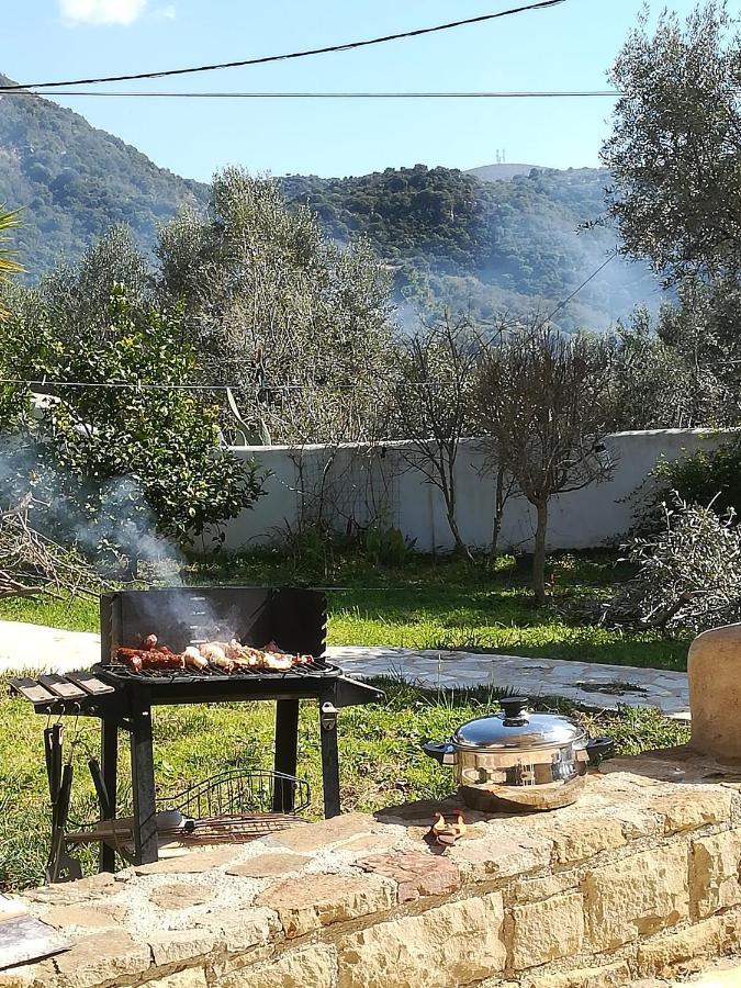 פיניקונטה Lemon Tree Cottage מראה חיצוני תמונה