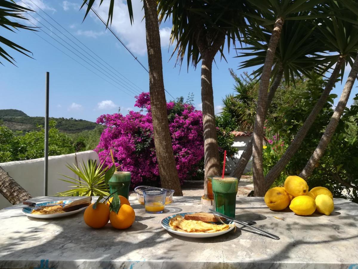 פיניקונטה Lemon Tree Cottage מראה חיצוני תמונה