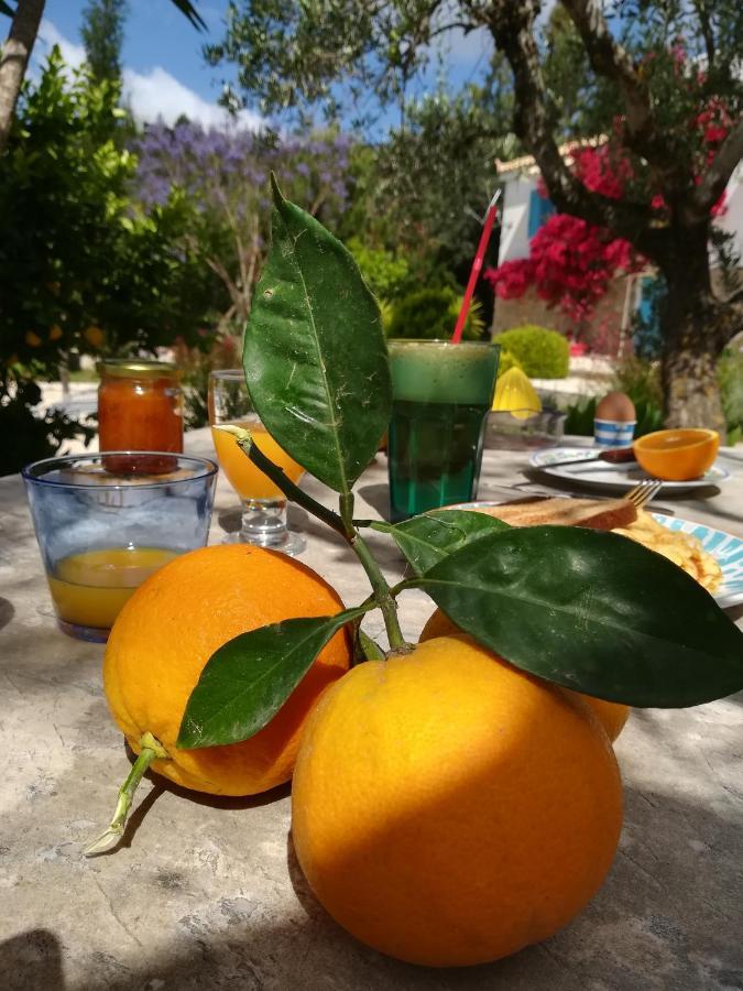 פיניקונטה Lemon Tree Cottage מראה חיצוני תמונה