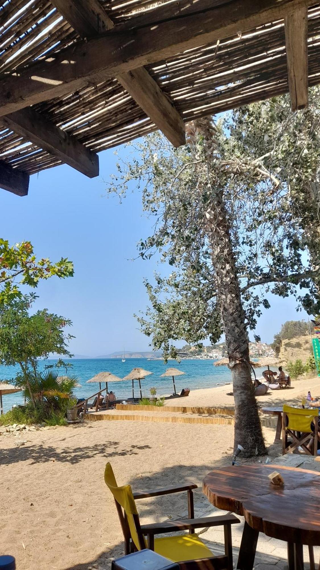 פיניקונטה Lemon Tree Cottage מראה חיצוני תמונה