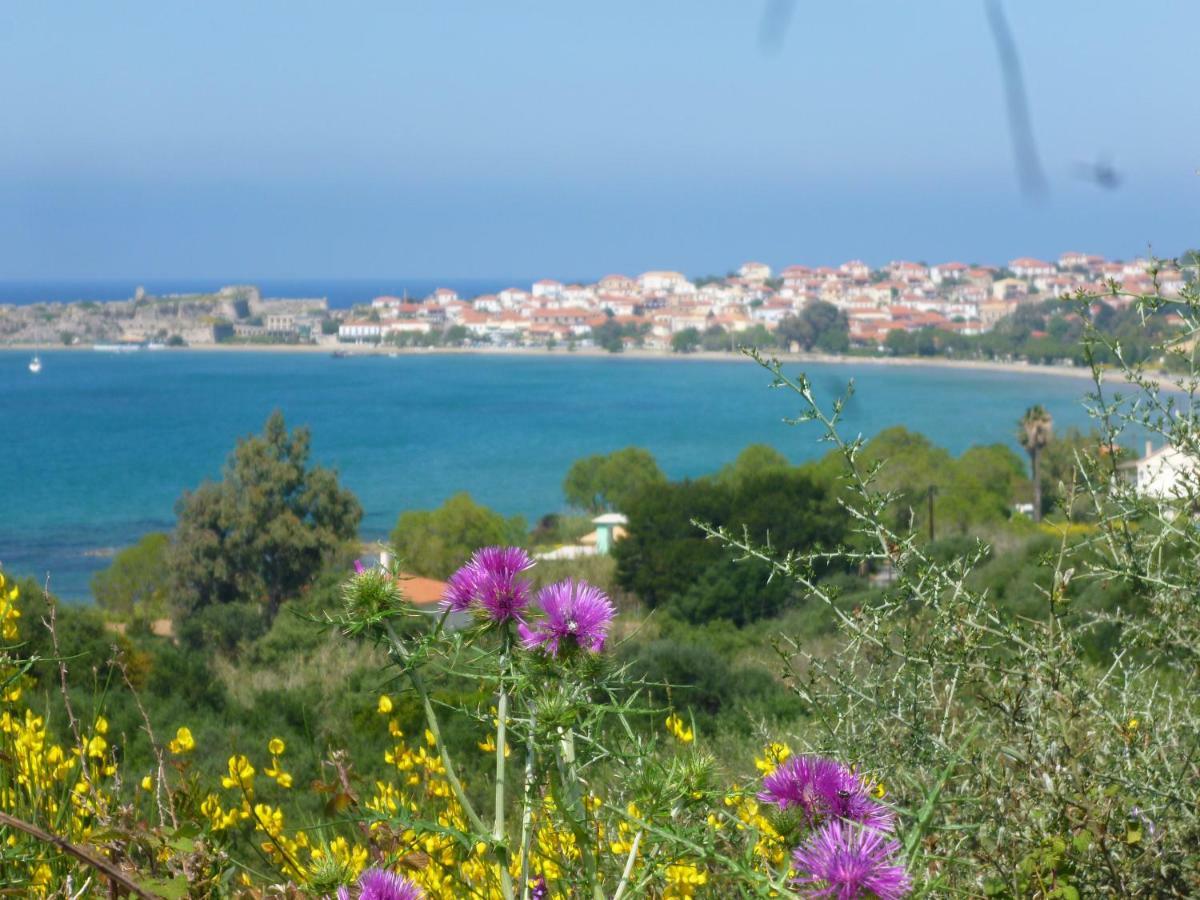פיניקונטה Lemon Tree Cottage מראה חיצוני תמונה