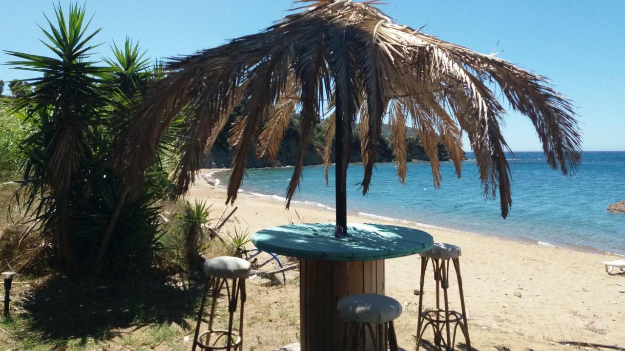 פיניקונטה Lemon Tree Cottage מראה חיצוני תמונה
