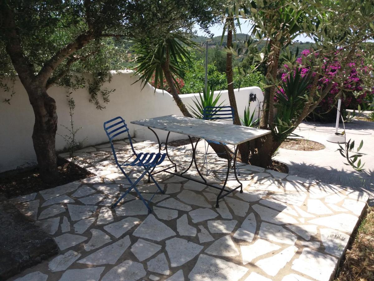 פיניקונטה Lemon Tree Cottage מראה חיצוני תמונה